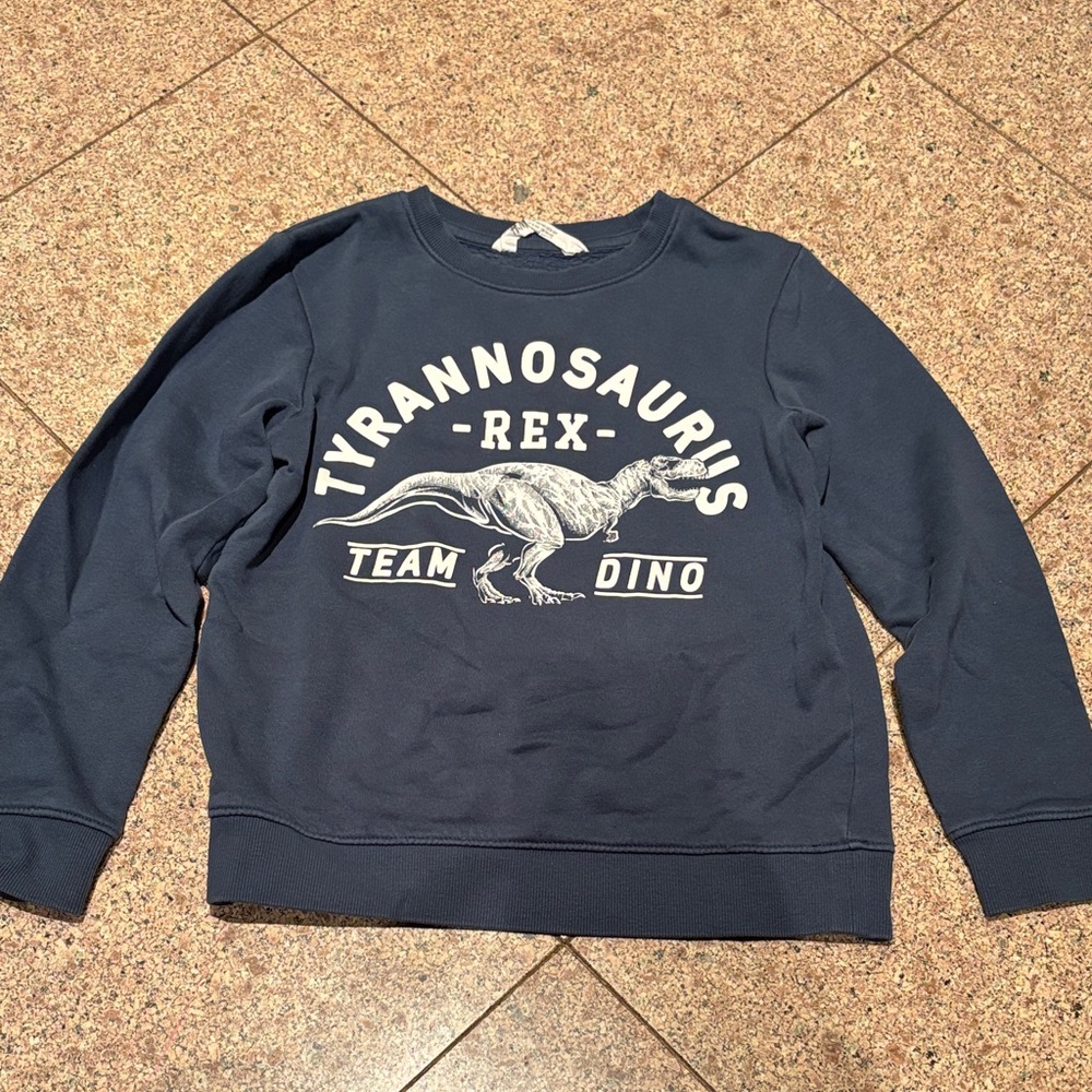 Tyrannosaurus Rex Team Dino Boy’s 8-10Y Navy H&M Sweater